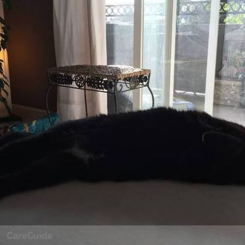 Pet Care Job Carrie Fitch's Profile Picture