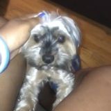 Caring Dog Walker in Queens Village