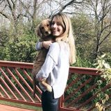 Animal caregiver located within the Kentucky and Cincinnati, Ohio areas.