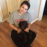 Fairport pet sitter from exotics to everyday pets