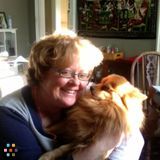 Pet Sitter, Dog Walker, Boarding