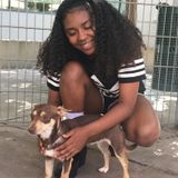 Brentwood, California Pet Service Provider