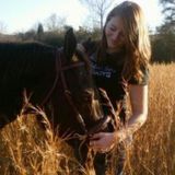 I have owned and love Horses, Cats, Dogs, and Pigs throughout my life and can't wait to help you love your's