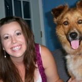 Experienced Dog Sitting In My Home- Fenced In Yard in Northern KY