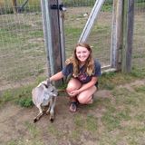 I'm am an animal lover looking to care for pets