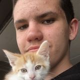 I love dogs and cats, I have 3 dogs and one cat. I am very caring to them and help them as much as I can.