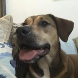 House/Animal/Plant/Pool Care