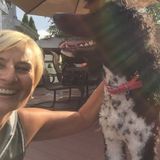 Looking For a Pet Service Provider Job in Englishtown