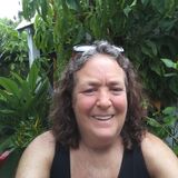 Key West House Sitter Searching for Being Hired