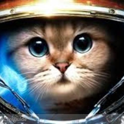 Pet Care Provider George K's Profile Picture