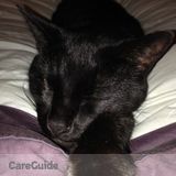 Feed cats and water garden twice during week of 7/16-7/22