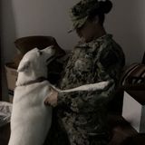 Available: Capable House and Pet Sitter in Oak Harbor