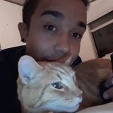 Grand Prairie Dog and cat lover and Walker Searching for Work