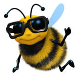 Busy Bee LLC Vacation rental cleaners-with references