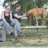 Experienced Dog Walker, Pet / House Sitter based in East Dallas Area