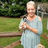Anderson Dog Walker Interested In Being Hired