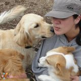 Experienced & Caring Dog Walker & Pet Care