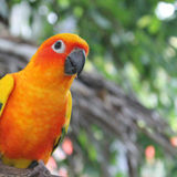 Caring and Compassionate Individual who Loves Working With Animals