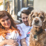 Job Posting: Young family with newborn girl and 9 yr old dog looking for nanny in Boisbriand, Quebec