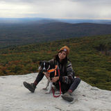 Pet Care Provider
