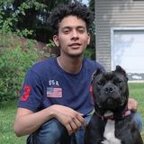 Loving Pet Service Provider for Hire
