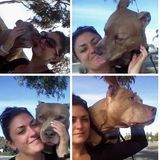 AA! - Amber loves Animals! Sitter/walker at your service