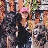 I love pets! 3