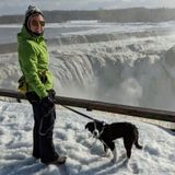 Work Opportunity: Pet Sitter