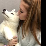 Wonderful pet care giver