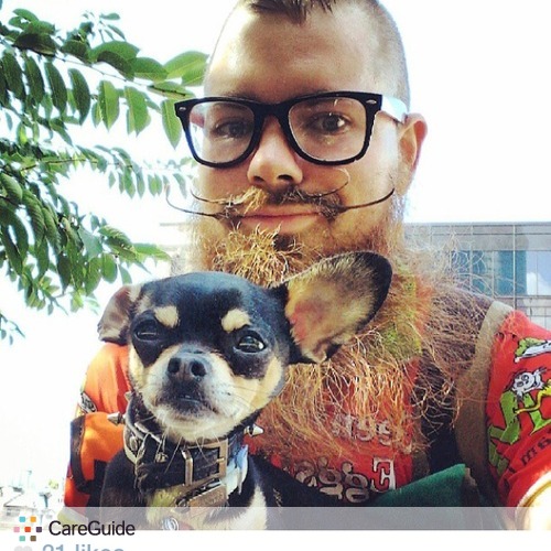 Pet Care Provider Joe C's Profile Picture
