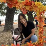 Hardworking Home Cleaning Provider in San Antonio, Texas