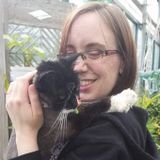 Need a pet sitter you can trust? I've got what it takes!