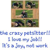 Happy Dogs Happy Owners