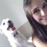 I love animals, I would to care your animal (: