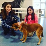 Energetic and Loving Pet-sitter!