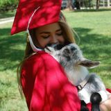 Pet Sitter With A Lot Of Experience