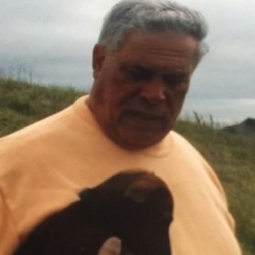 House Sitter Provider Don D's Profile Picture