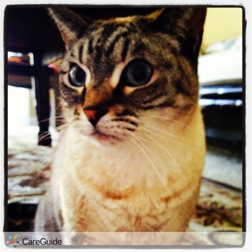 House Sitter Provider R W's Profile Picture