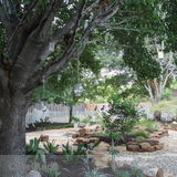 Earth's Way EcoScape Design - Beautiful, low maintenance, multi-function gardens