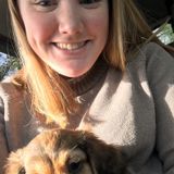 The biggest dog lover in Braintree