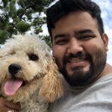 Love to meet your pets. Over 2 years in experience.
