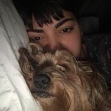 Passionate Dog Walking and Pet Sitting Available On Weekends