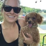 I am everyone's favorite dog aunt!