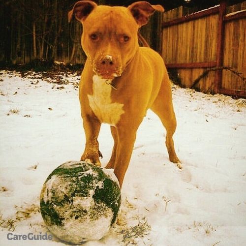 Pet Care Provider Shannon R's Profile Picture