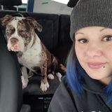 Hardworking Pet Sitter in Woodbridge