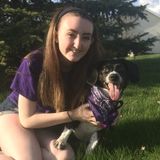 Independent, Responsible College Student Available for Pet Care