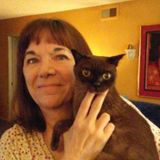 Carer for our lovely West Hollywood area. I care for: