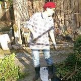 Gardening, Landscaping, Yard Work, Pruning, Etc