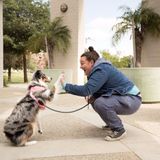 Marisa, Pet Sitter, Santa Clarita, CA