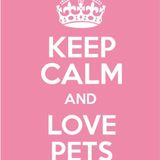 Pet Caregiver Searching for people with pets in need in of a helping hand.